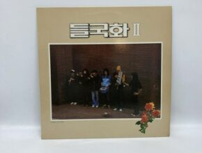 들국화lp