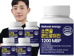 관절엔 콘드로이친1200 1개월분