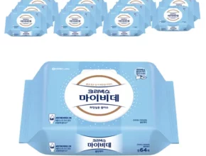 마이비대