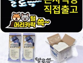 발로쓱 실내화 2족  청소포 200장(100켤레