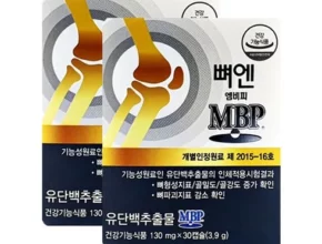 뼈엔 엠비피 MBP 1박스