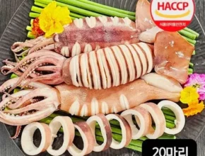 손질오징어130g20미