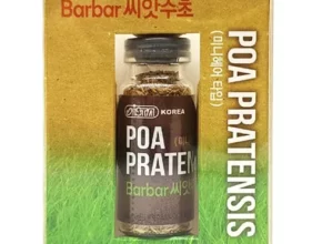 씨앗수초