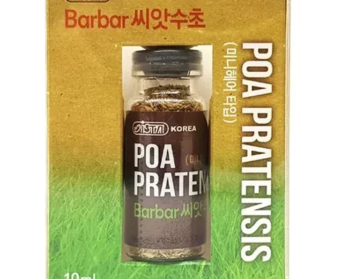 씨앗수초