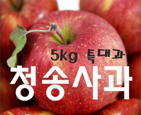 청송 애플진 보조개사과 햇 부사 사과