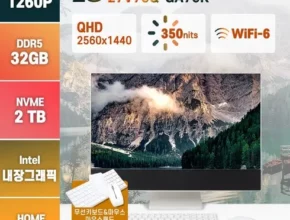 엘지올인원pc