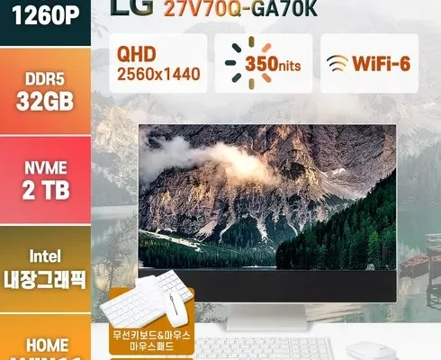 엘지올인원pc