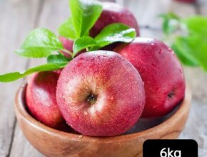 열매나무 못난이 부사사과 3kg3kg