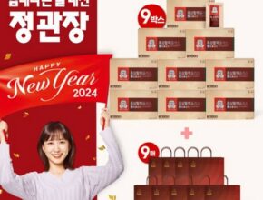 정관장 홍삼활력플러스 6쇼핑백 9장