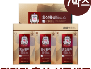 정관장 홍삼활력플러스