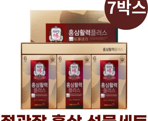 정관장 홍삼활력플러스