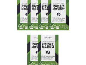 프롬바이오 관절연골엔 보스웰리아
