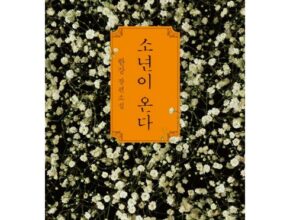 한강소설