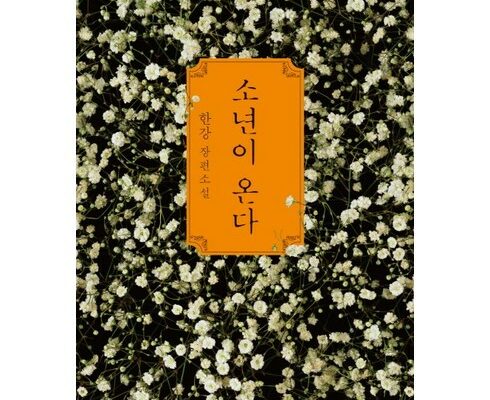 한강소설