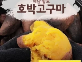 화산농협 특등급 해남 황토 호박고구마 총 8kg