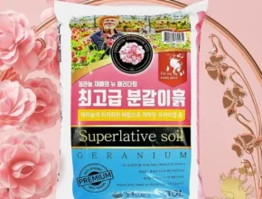 추천 가성비 거목산업사