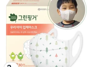 추천 가성비 그린핑거마스크