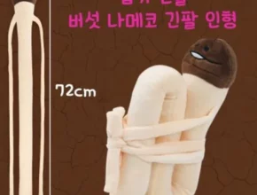 추천 가성비 나메코