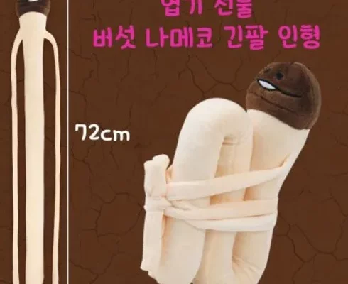 추천 가성비 나메코