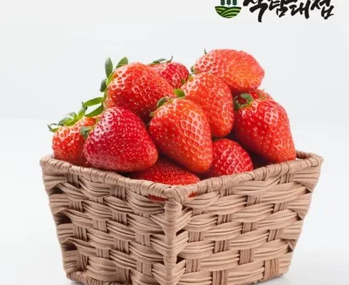 추천 가성비 딸기수경재배