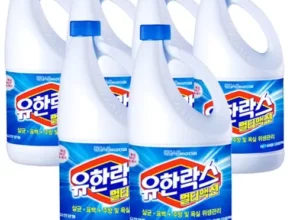 추천 가성비 락스