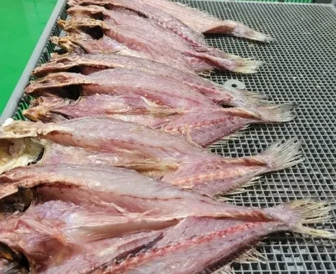 추천 가성비 민어