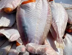 반건조가자미