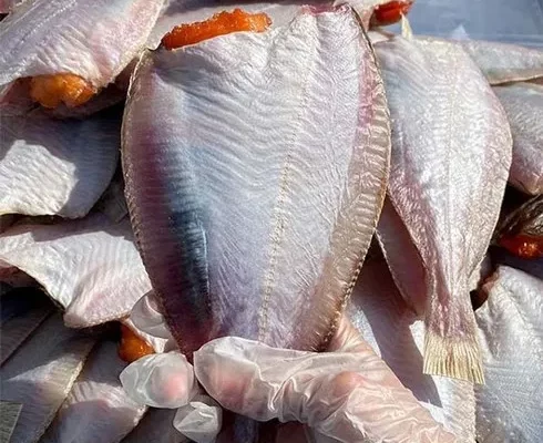 반건조가자미