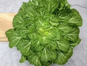 추천 가성비 봄동