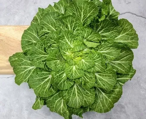 추천 가성비 봄동