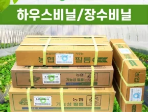 비닐하우스비닐