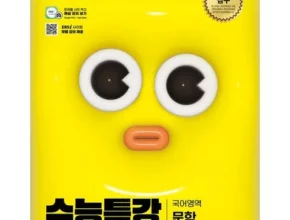 추천 가성비 수능특강2025문학