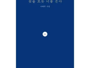 추천 가성비 시집베스트셀러