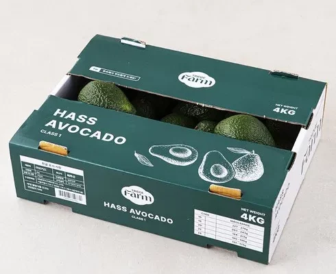 아보카도