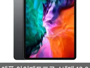 추천 가성비 아이패드프로4세대12.9