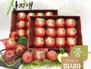 추천 가성비 알뜰사과 6kg사과즙 6팩 청송 세척사과