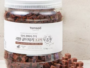 추천 가성비 애견간식