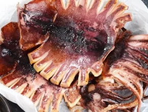 추천 가성비 영덕 반건조 피데기오징어 2.5kg