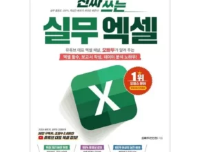 추천 가성비 오빠두엑셀