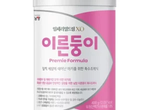 추천 가성비 이른둥이분유