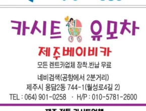 카시트대여