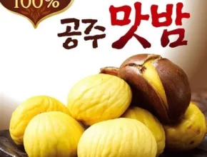 추천 가성비 국산밤으로 만든 꿀맛 공주맛밤 50g  30봉