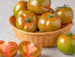 추천 가성비 대저토마토