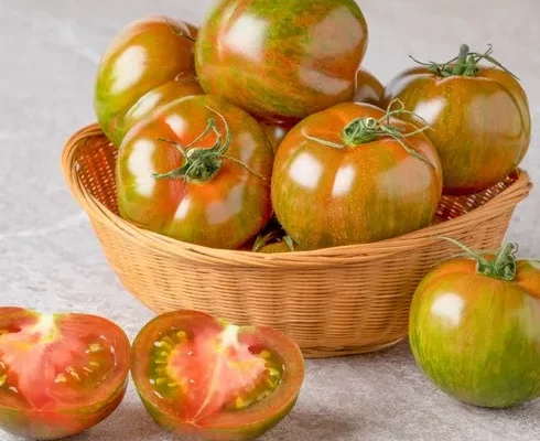 추천 가성비 대저토마토
