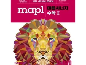 추천 가성비 마플시너지