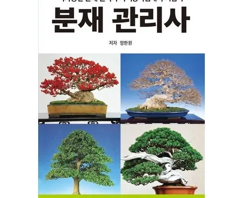 추천 가성비 분재클래스
