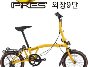 추천 가성비 사바파이크