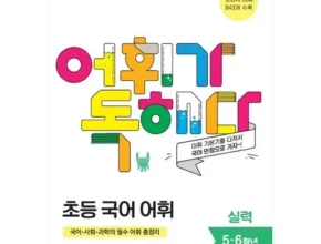 추천 가성비 어휘가독해다