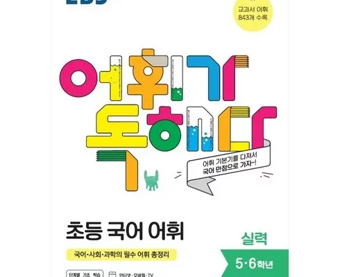 추천 가성비 어휘가독해다