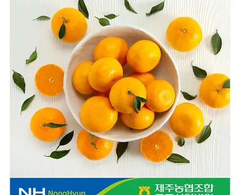 추천 가성비 제주 귤로장생 천혜향 4kg